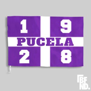 Bandera Pucela 1928