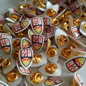 PIN RESINA