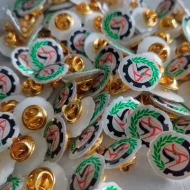PIN RESINA